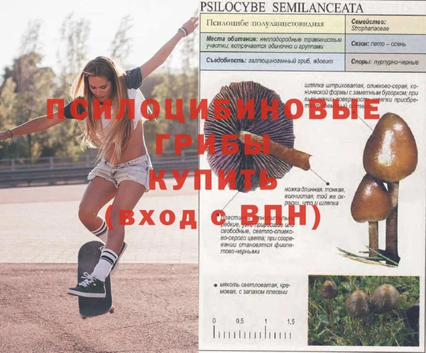 трава Алексин