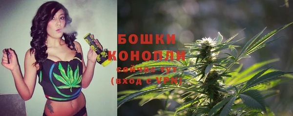 трава Алексин