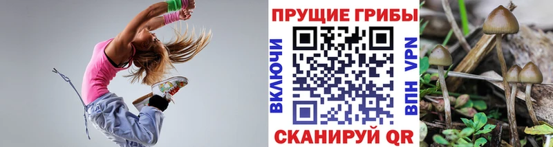 Галлюциногенные грибы ЛСД  Купить закладки  Усмань 